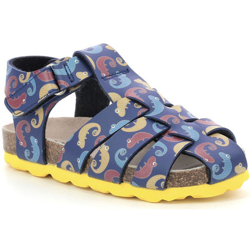 Čevlji  Dečki Sandali & Odprti čevlji Mod'8 Kourios Modra