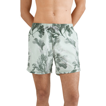 Oblačila Moški Kratke hlače & Bermuda O'neill Short de bain  Origin Oyster Zelena