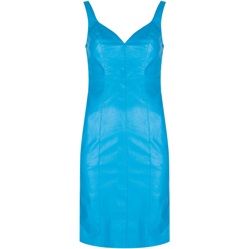 Oblačila Ženske Kratke obleke Pinko 1G160W 7105 | Pudico Abito Modra