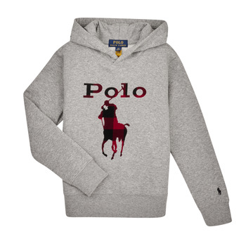 Oblačila Dečki Puloverji Polo Ralph Lauren 323883104002 Siva