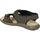 Čevlji  Moški Sandali & Odprti čevlji Palmipao-Aclys Be Fly Flow S120-05-03 Kostanjeva