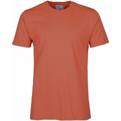Oblačila Majice s kratkimi rokavi Colorful Standard T-shirt  Classic Organic dark amber Rdeča