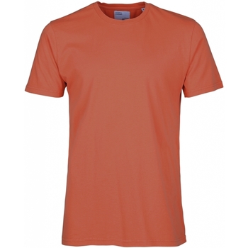 Oblačila Majice & Polo majice Colorful Standard T-shirt  Classic Organic dark amber Rdeča