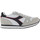 Čevlji  Moški Modne superge Diadora SIMPLE RUN C9304 White/Glacier gray Bela