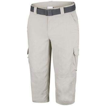 Oblačila Moški Kratke hlače & Bermuda Columbia M SILVER RIDGE II C Siva