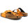 Čevlji  Ženske Japonke Scholl - greeny-f28057 Oranžna