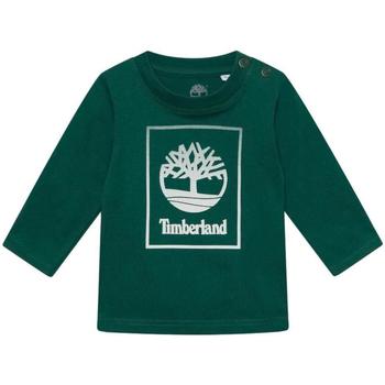 Oblačila Dečki Majice s kratkimi rokavi Timberland  Zelena