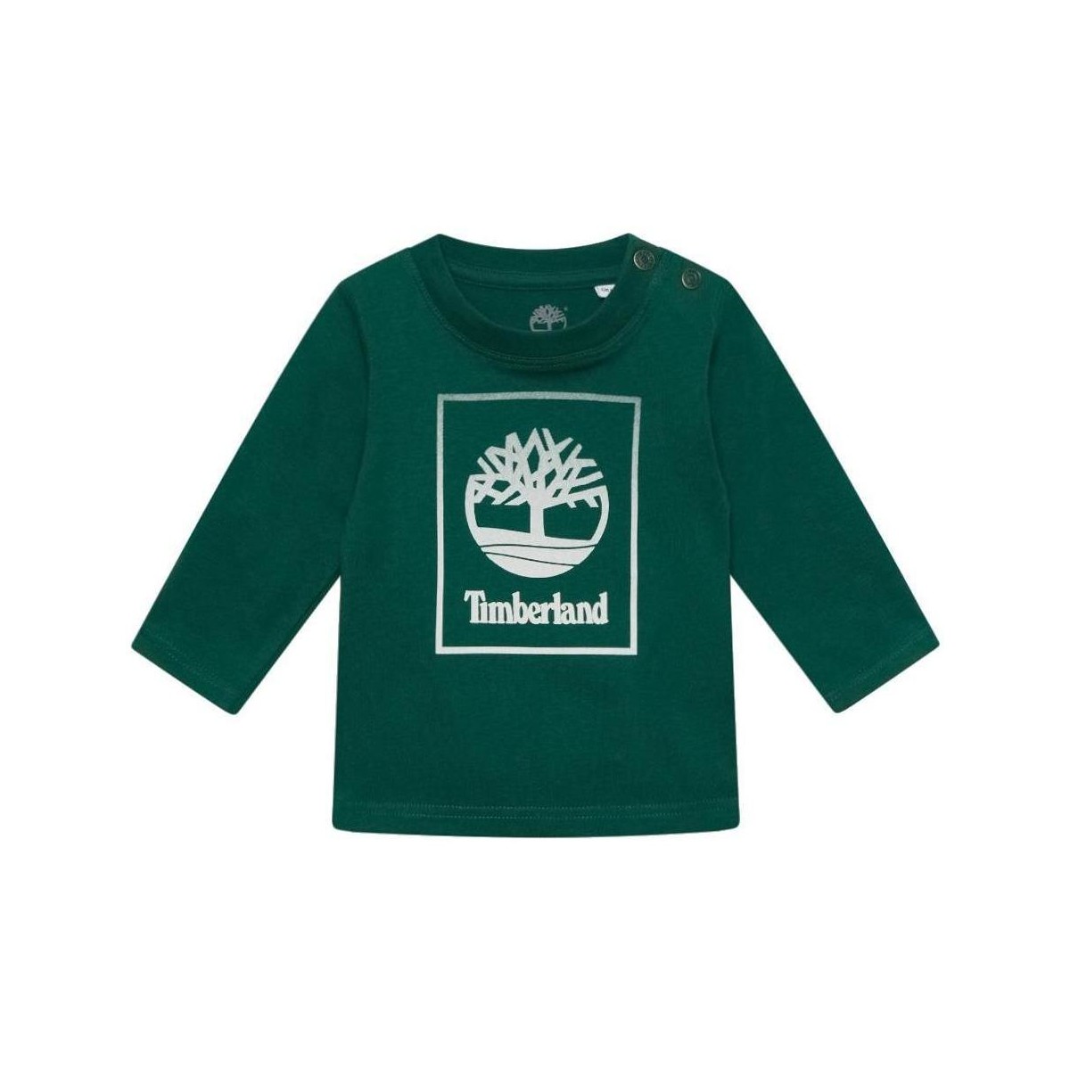 Oblačila Dečki Majice s kratkimi rokavi Timberland  Zelena