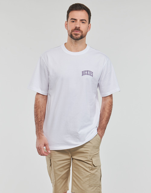 Dickies AITKIN CHEST TEE SS Bela