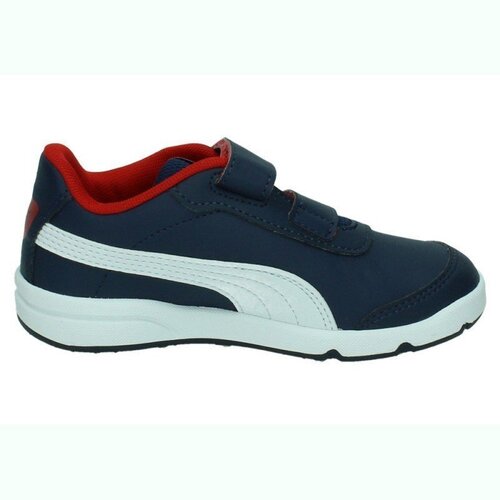 Puma  Modra