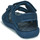 Čevlji  Dečki Sandali & Odprti čevlji Timberland PERKINS ROW 2-STRAP Modra