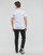Oblačila Moški Majice s kratkimi rokavi Calvin Klein Jeans MICRO MONOLOGO TEE Bela