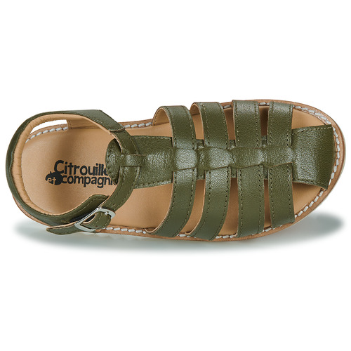 Citrouille et Compagnie ASMILO Kaki