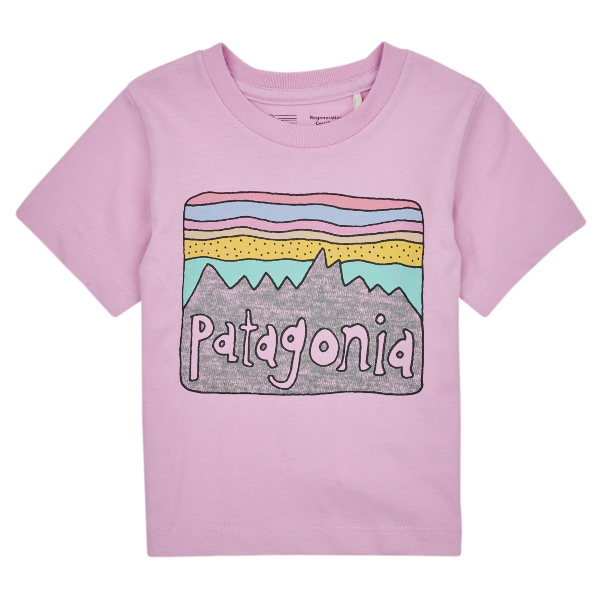 Oblačila Otroci Majice s kratkimi rokavi Patagonia Baby Regenerative Organic Certified Cotton Fitz Roy Skies T- Vijolična