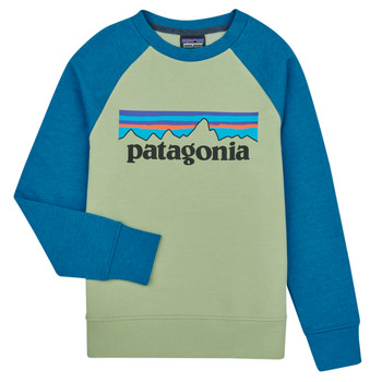 Oblačila Otroci Puloverji Patagonia K's LW Crew Sweatshirt Večbarvna