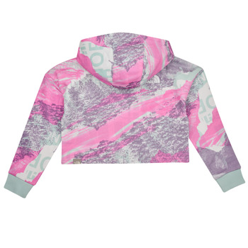 The North Face Girls Drew Peak Light Hoodie Večbarvna