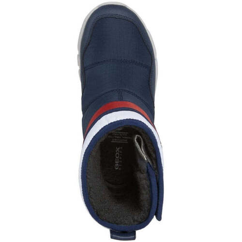 Geox  Modra