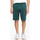 Oblačila Moški Kratke hlače & Bermuda DC Shoes DC HEGGERTY SHORT JUNE BUG SEDYFB03047 Zelena