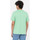 Oblačila Moški Majice & Polo majice Dickies Ss mapleton t-shirt Zelena