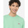 Oblačila Moški Majice & Polo majice Dickies Ss mapleton t-shirt Zelena