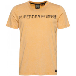 Oblačila Moški Majice & Polo majice Superdry Vintage corp logo Bež