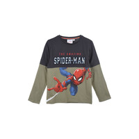 Oblačila Dečki Majice z dolgimi rokavi TEAM HEROES  T SHIRT SPIDERMAN Siva