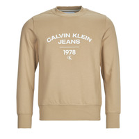 Oblačila Moški Puloverji Calvin Klein Jeans VARSITY CURVE CREW NECK Bež