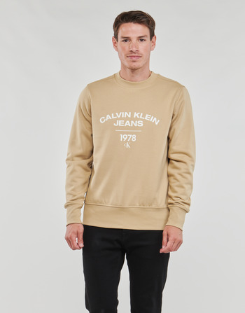 Oblačila Moški Puloverji Calvin Klein Jeans VARSITY CURVE CREW NECK Bež
