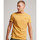 Oblačila Moški Majice & Polo majice Superdry Vintage logo emb Oranžna