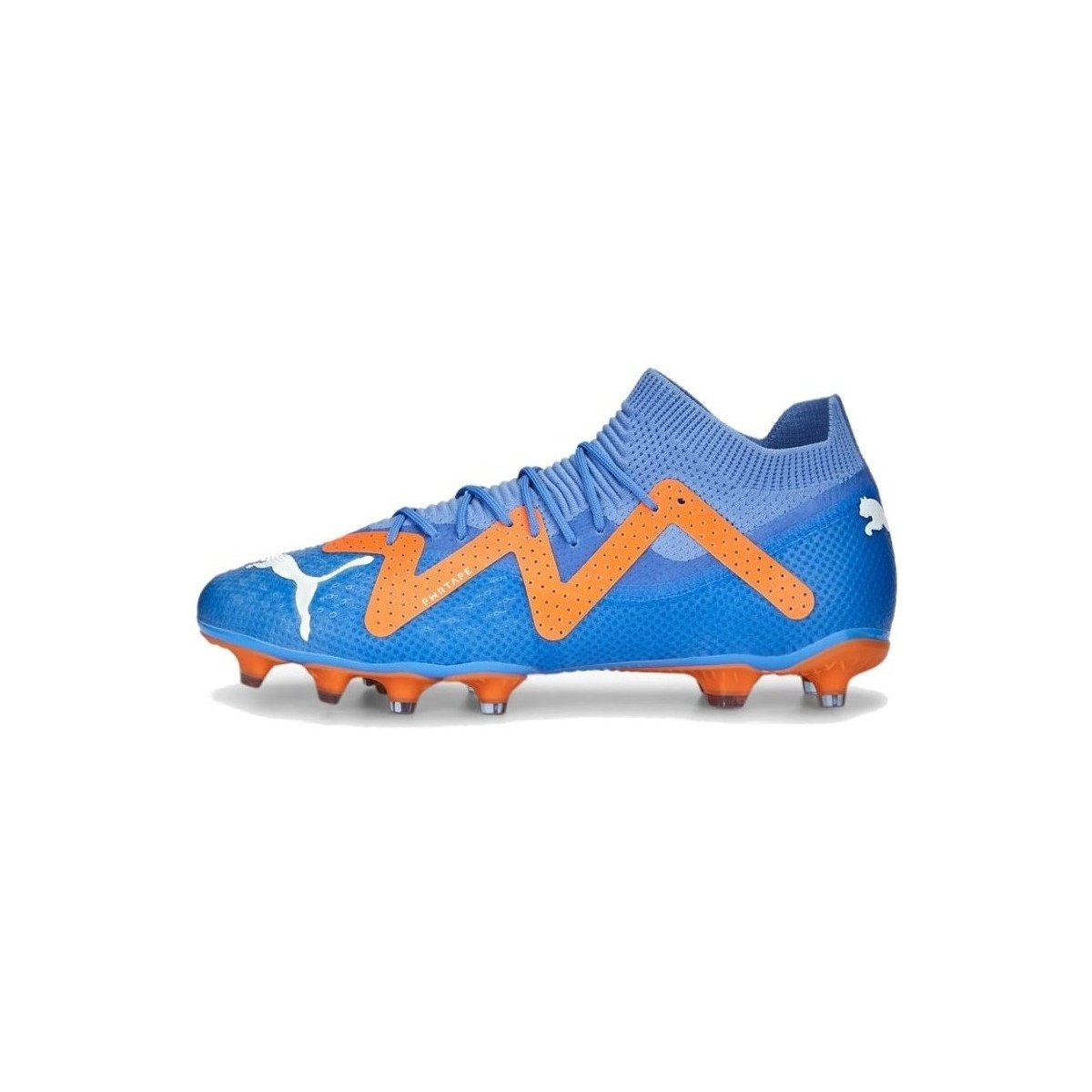 Čevlji  Moški Nogomet Puma Future Pro Fgag Modra