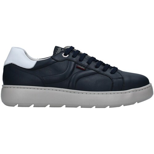 CallagHan 54801 Modra