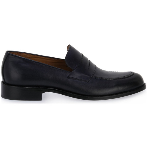 Exton BLUE VITELLO Modra