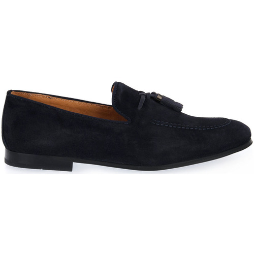Exton CAMOSCIO BLU Modra