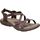 Čevlji  Ženske Sandali & Odprti čevlji Skechers 40955-CHOC Kostanjeva