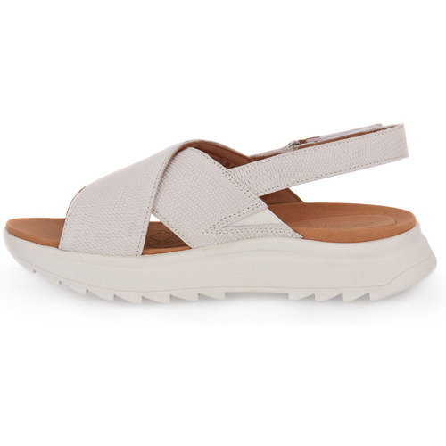 Clarks DASHLITE WISH Bela