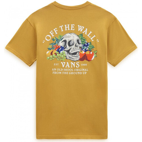 Oblačila Moški Majice & Polo majice Vans Ground up ss tee Oranžna
