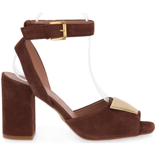 Priv Lab 160CHOCO Kostanjeva