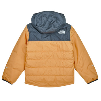 The North Face Boys Never Stop Synthetic Jacket Kostanjeva