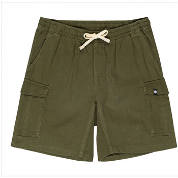 Oblačila Moški Kratke hlače & Bermuda Element Utility wkst Zelena