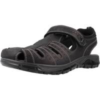 Čevlji  Moški Sandali & Odprti čevlji IgI&CO 3641200 Črna