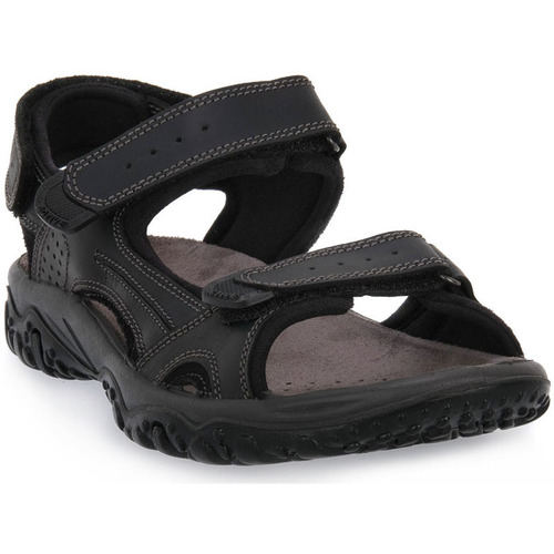 Čevlji  Moški Sandali & Odprti čevlji Imac PACIFIC Črna