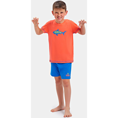 Oblačila Dečki Pižame & Spalne srajce Munich DH1450 Večbarvna