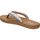 Čevlji  Ženske Sandali & Odprti čevlji Skechers 113710-BLMT Večbarvna