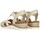 Čevlji  Ženske Sandali & Odprti čevlji Skechers 114013 Bež