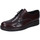 Čevlji  Moški Čevlji Derby & Čevlji Richelieu Bruno Verri BC301 506 Bordo