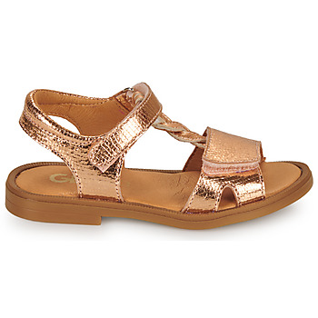 GBB FARENA