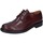 Čevlji  Moški Čevlji Derby & Čevlji Richelieu Bruno Verri BC529 Bordo