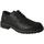 Čevlji  Moški Čevlji Derby & Čevlji Richelieu IgI&CO  Črna