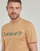 Oblačila Moški Majice s kratkimi rokavi Timberland Camo Linear Logo Short Sleeve Tee Bež