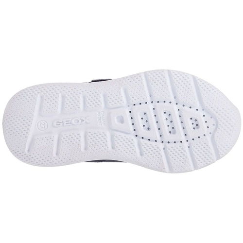 Geox J SPRINTYE BOY Modra